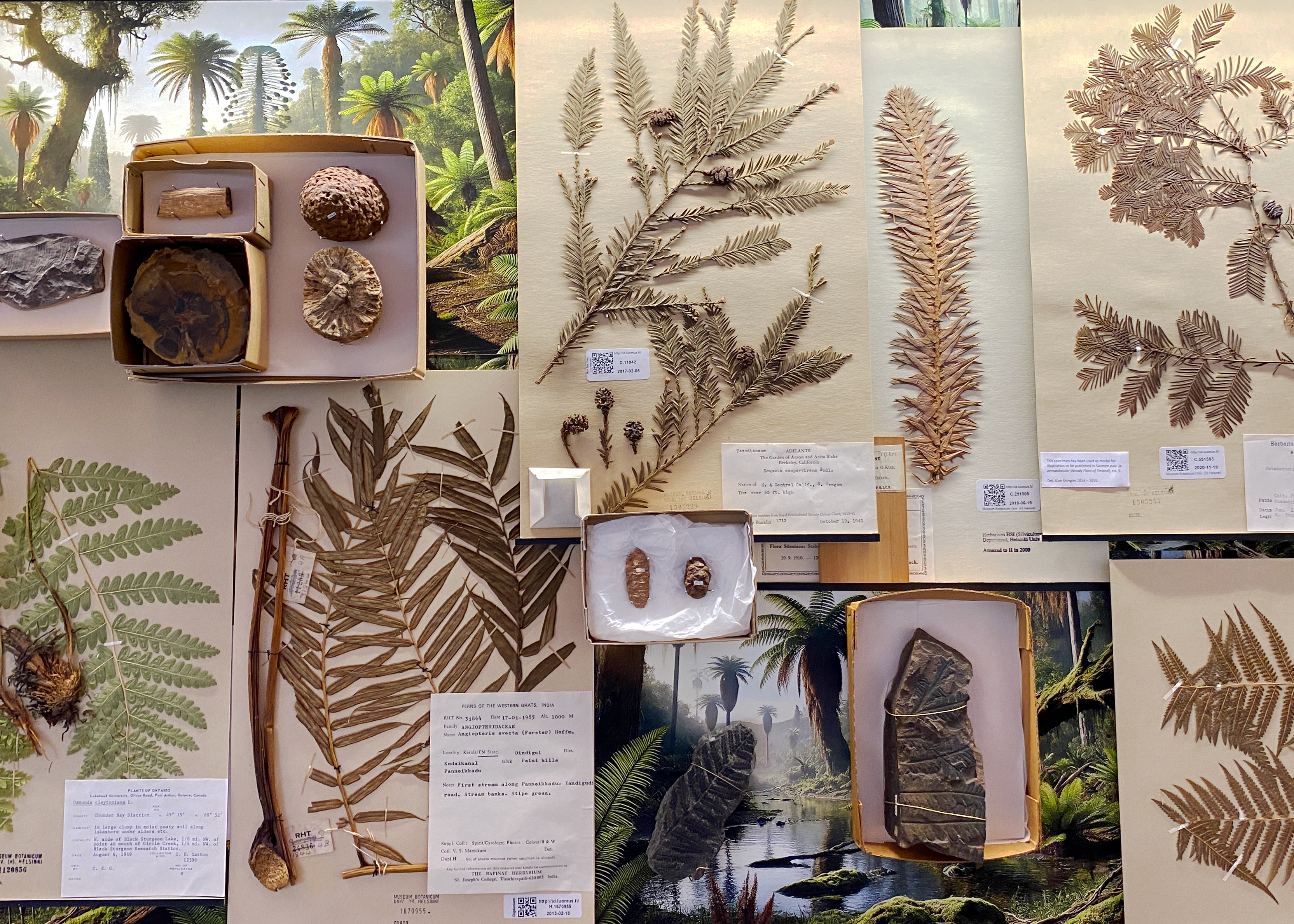 Raimo Saarinen, Yksityiskohta teoksesta 201 300 000 vuotta sitten.jpg