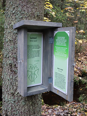 Kuva infolaatikosta, joka sijaitsee Terveysmetsässä