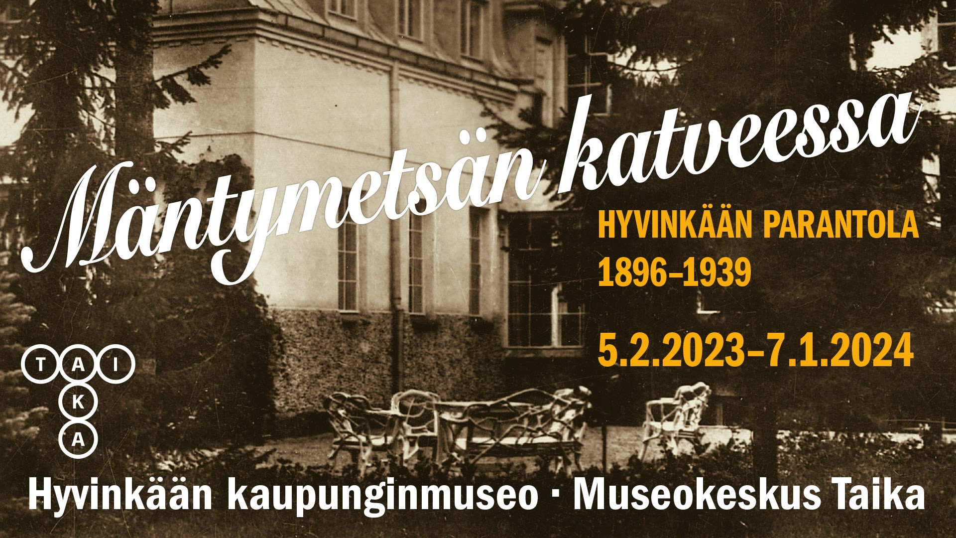 Mäntymetsän katveessa