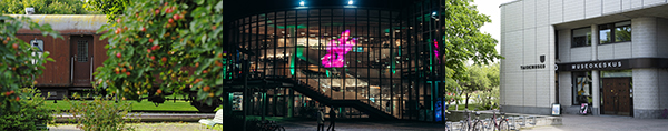 kulttuurin kuvakollaasi