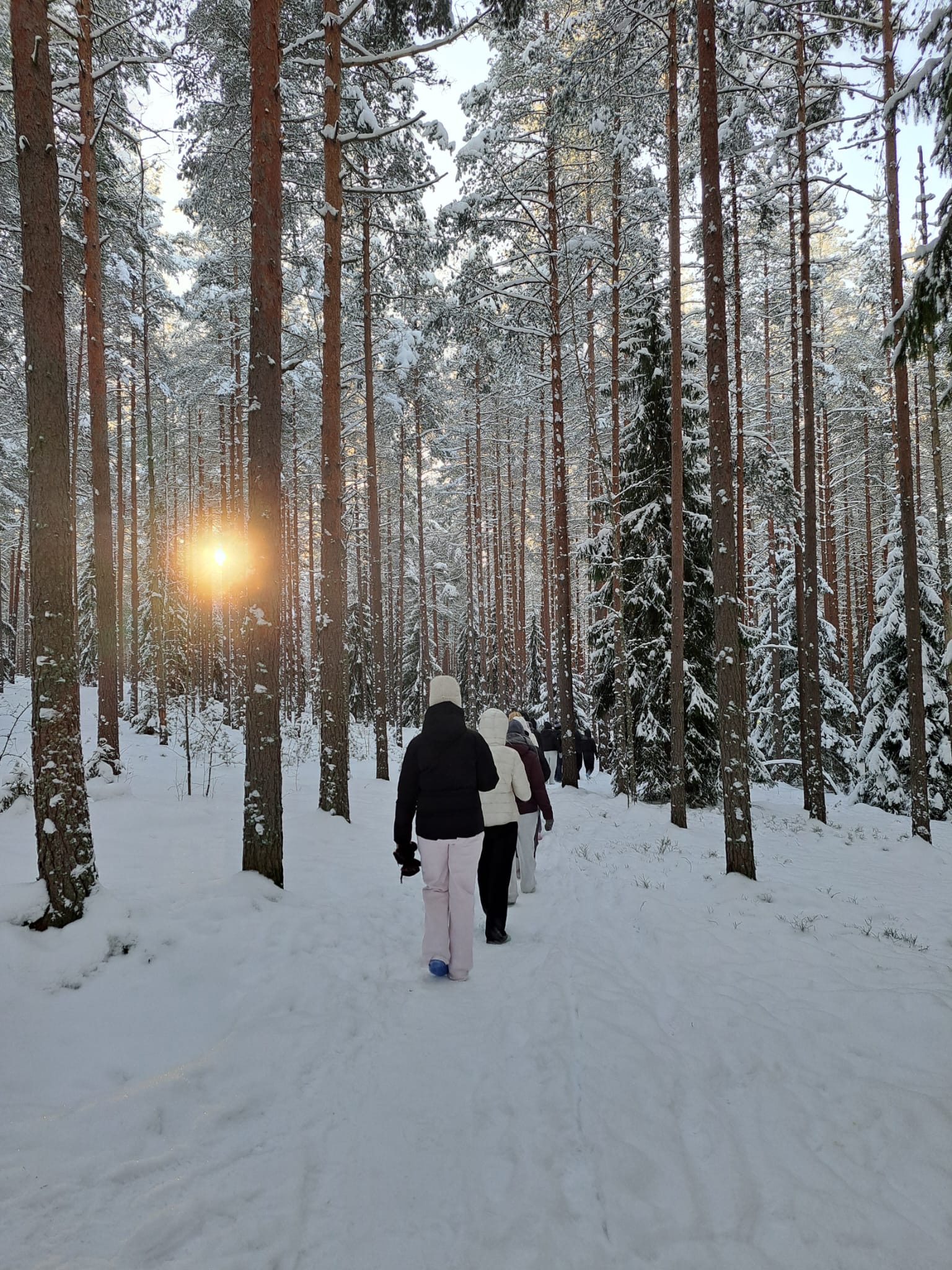 Kävelyllä talvisessa metsässä