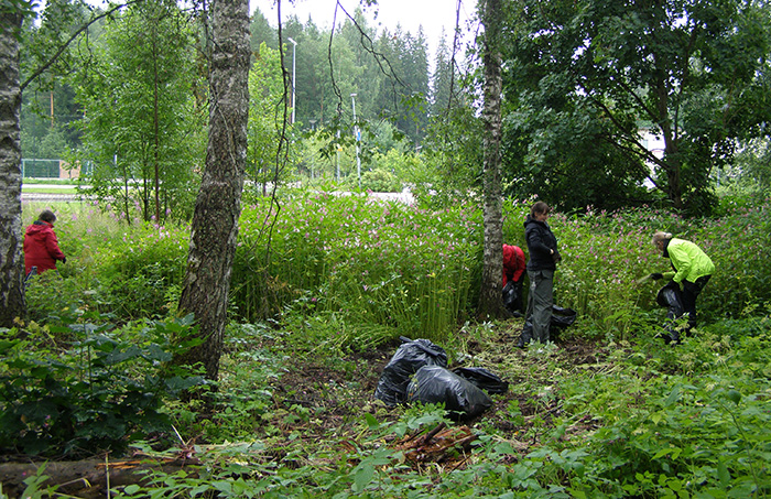 Palsamitalkoot_tapainlinnassa_07_2020 (5).JPG