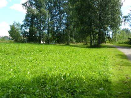 Niitetty Tiilenpuisto