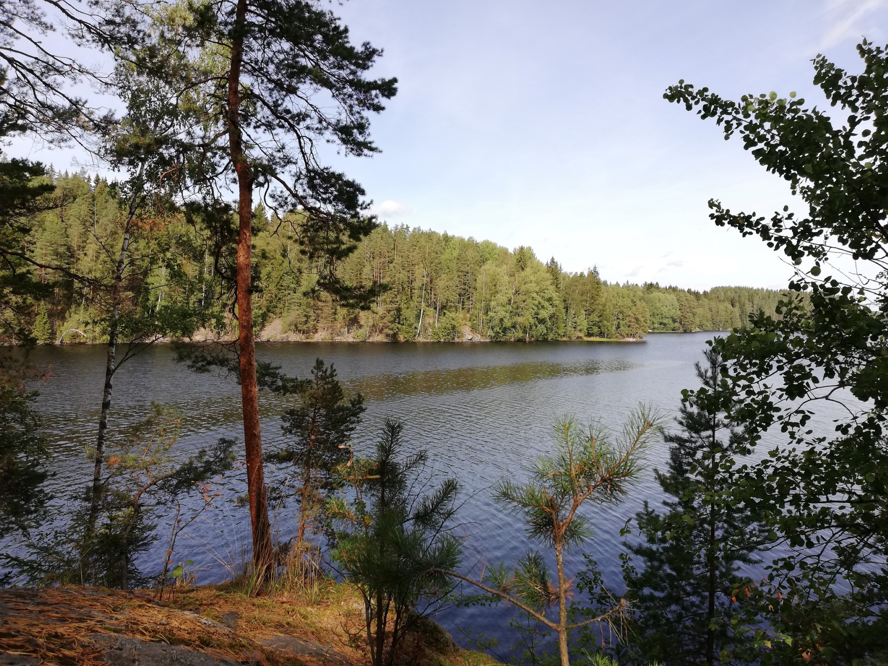 Kuva Kytäjä-Usmin Niittylahden nuotiopaikalta