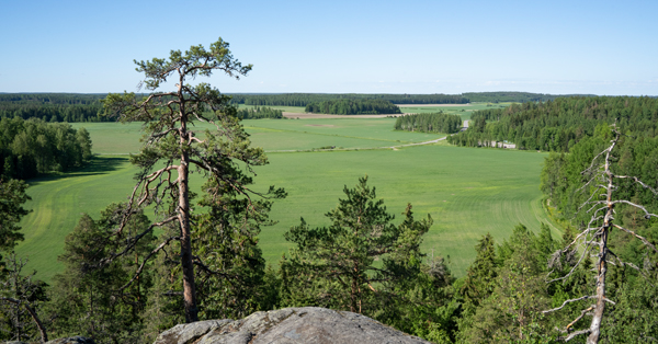 Jaanankalliolta avautuu näkymä peltoaukealle.
