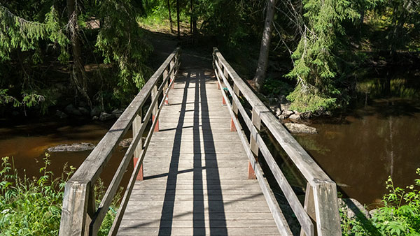 Kaukasten luontopolun silta.jpg