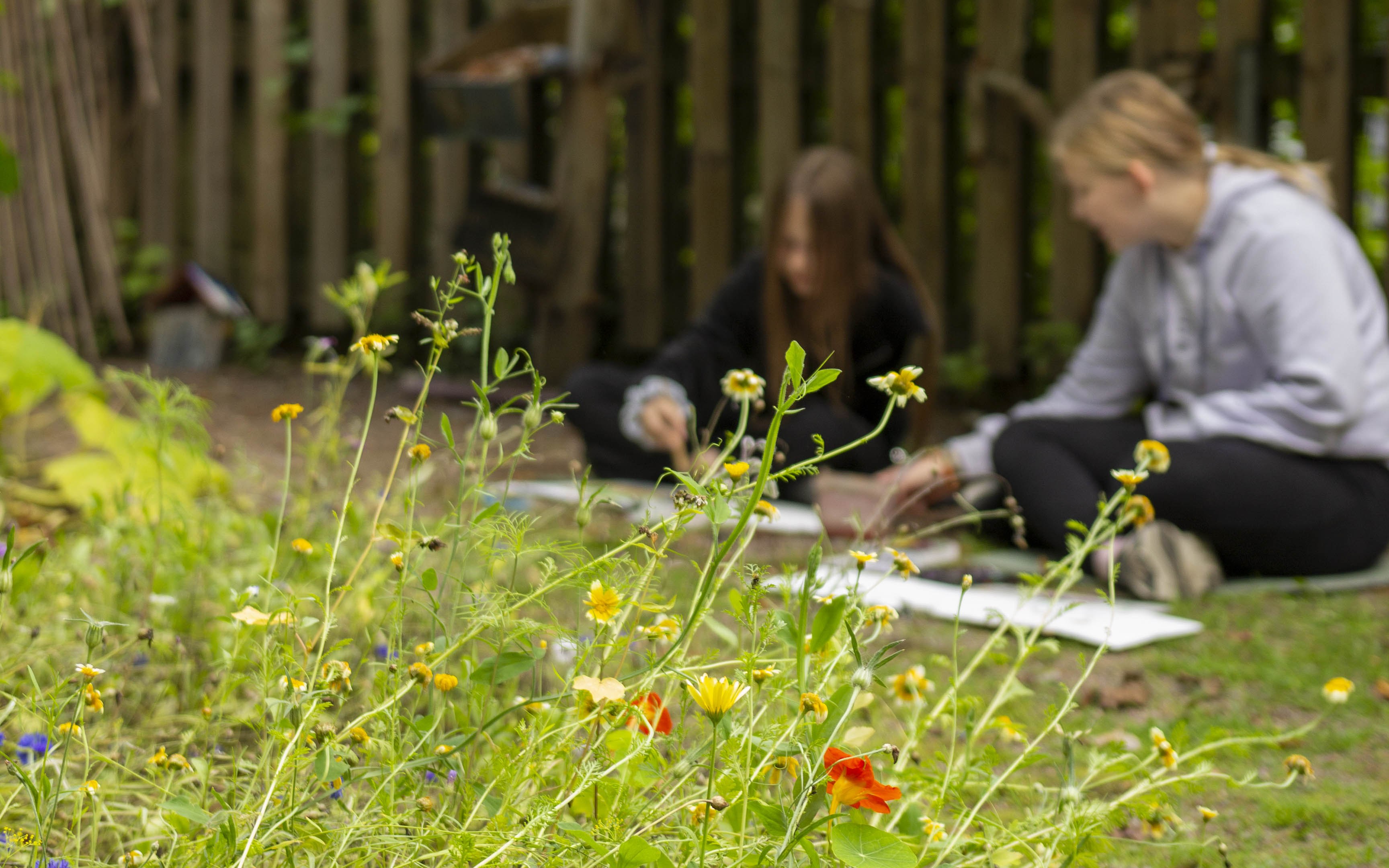 Kaksi oppilasta maalaa vesiväreillä kukkapenkin takana