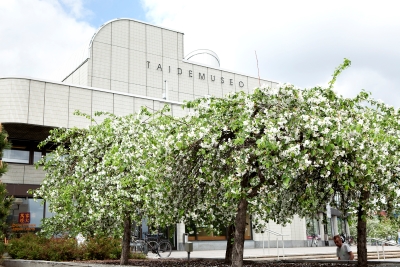 Taidemuseo omenapuunkukkien aikaan Vaalea taidemuserakennus taustalla ja kuvan etualalla kukkivia omenapuita.