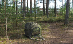 Kuvassa näkyy Olli Haaviston muistokivi sekä taustalla olevaa metsämaisemaa