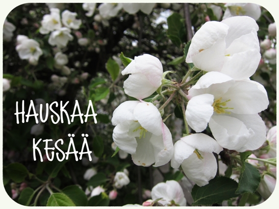 omenan kukkia ja teksti hauskaa kesää