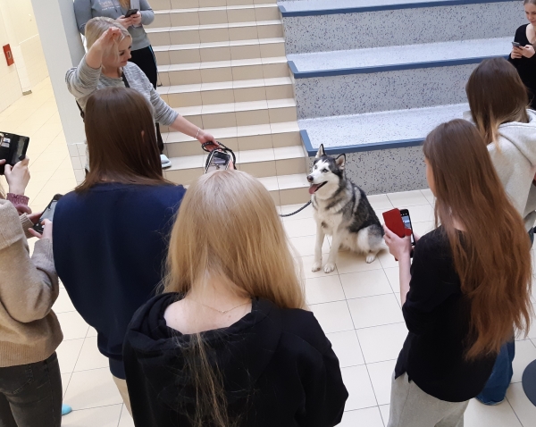 Guccista otetaan valokuvia