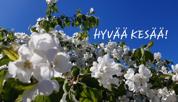 omenankukkia ja teksti hyvää kesää