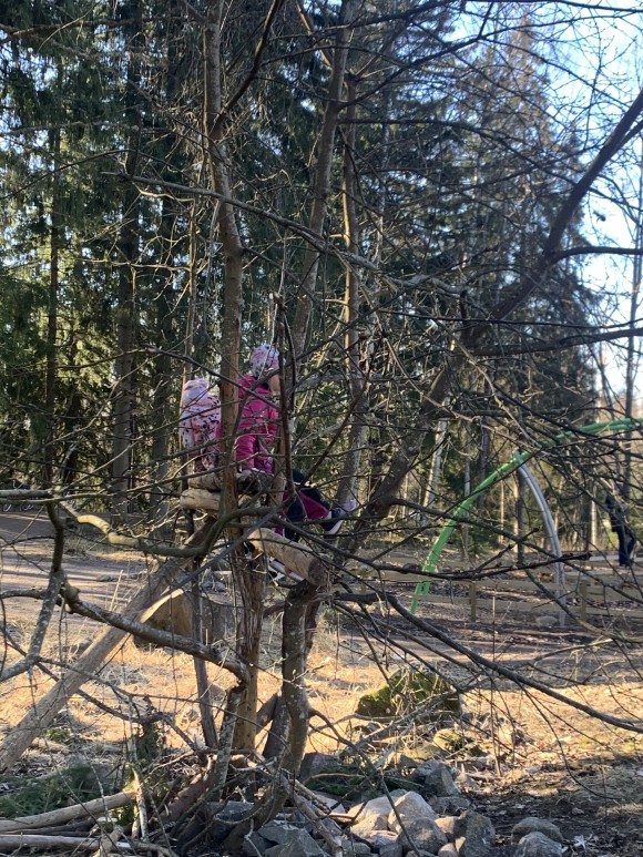 oppilaita kiipeilemässä puussa