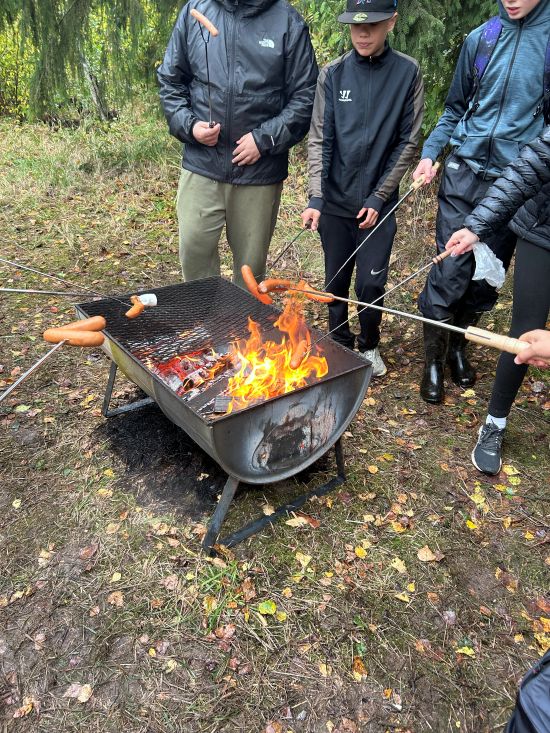 metsä4iso.jpg
