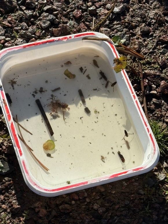 näytteenottolaatikko