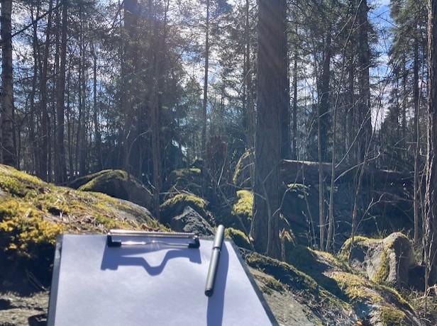 Metsässä kiven päällä kirjoituspaperia ja kynä.