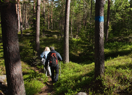 Kuva Kytäjä-Usmin alueelta