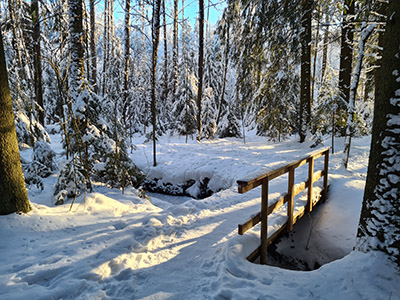 Talvinen terveysmetsä