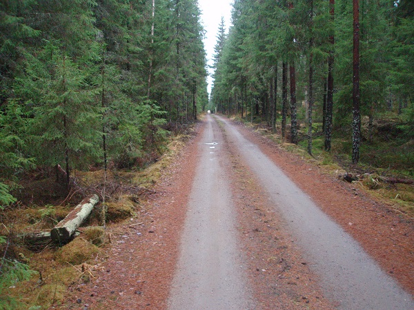 Tässä kuvassa on ratapohjaa Vaskijärvellä.