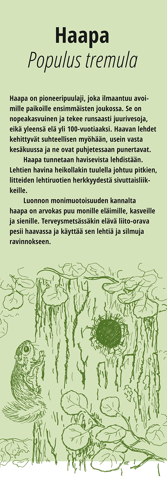 Haapa Hyvink n Kaupunki