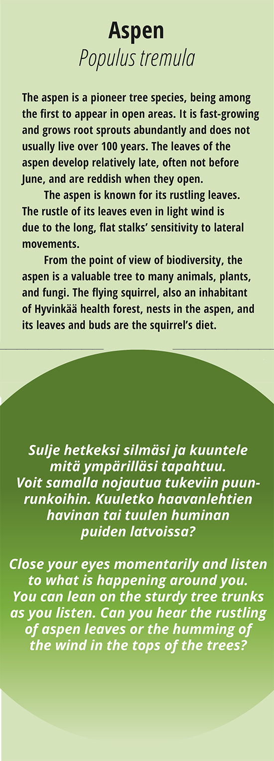 Haapa in english