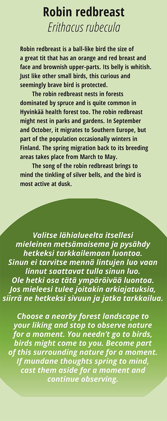 Punarinta ja harjoitus