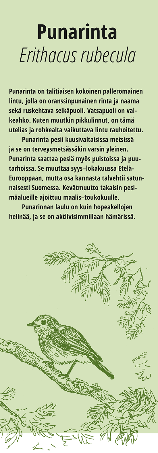 punarinta teksti suomeksi, sama etusivulla