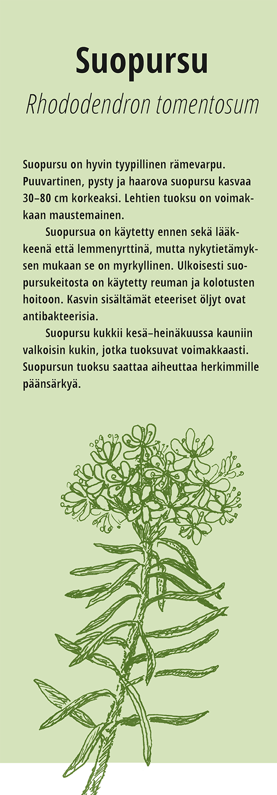 supursu teksteineen - sama kuin etusivulla