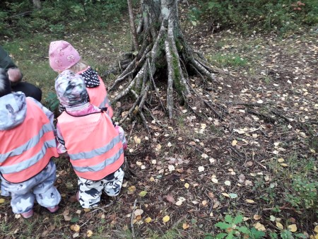 lapset metsässä suuren koivun juurakon edustalla.jpg