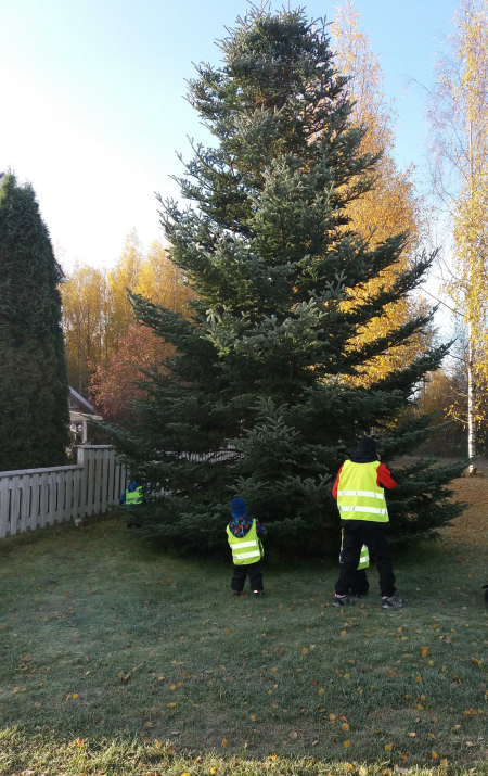 Kuvassa heijaistinliivit päällä aikuinen ja lapsi puun juurella