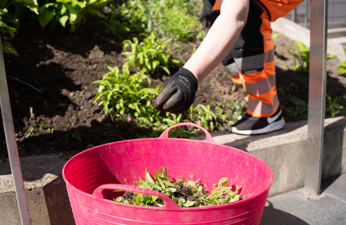 Viherpalveluiden kesätöitä